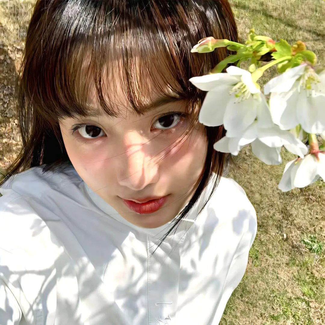 逐浪之夏
